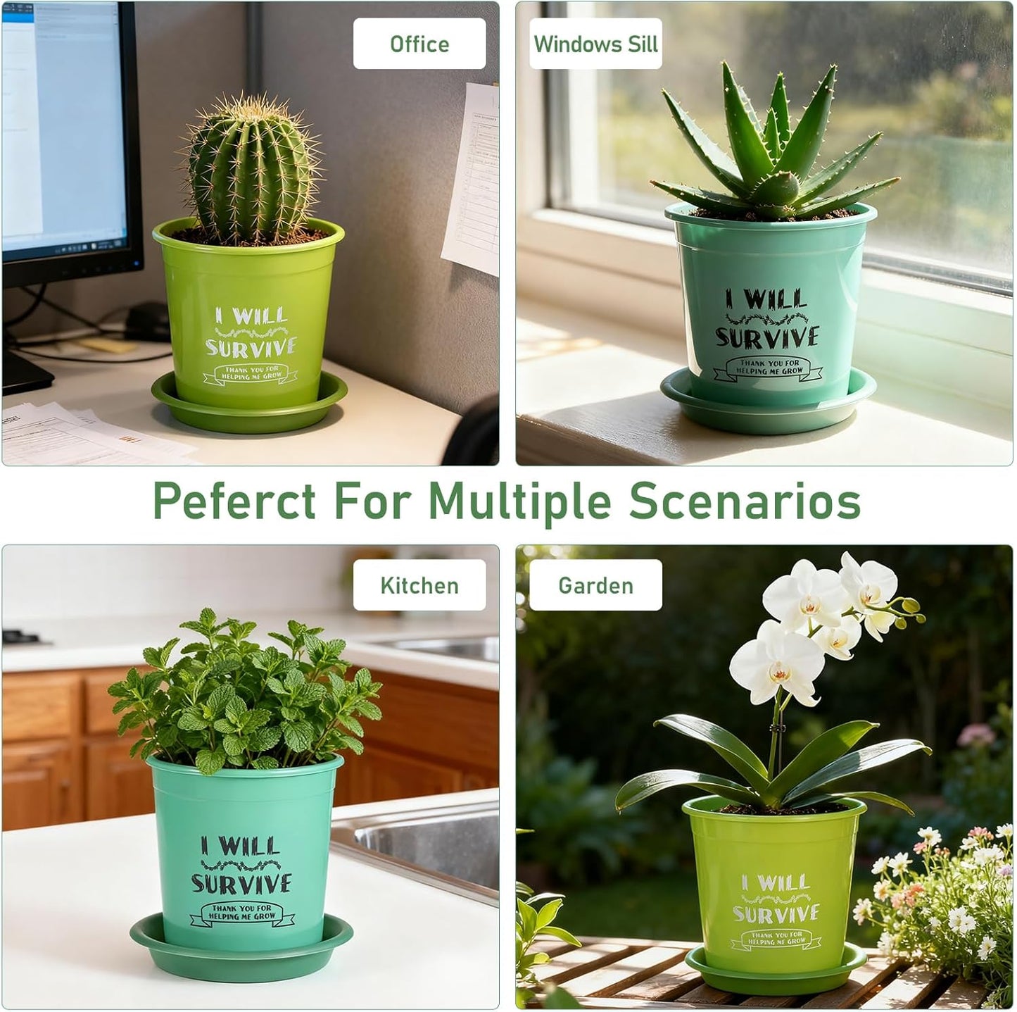 NIKONIKO 8 Pack 6.5 Inch Plant Pots, 4 Colors Pots for Plants, Flower Pots with Drainage Holes and Bottom Support, for Indoor & Outdoor Garden Home Plants