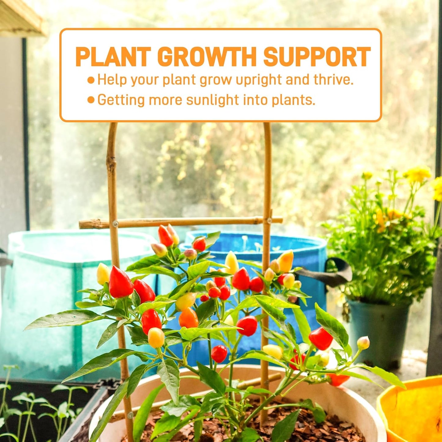 Avalution 10 Pack Bamboo U Trellis for Climbing Plants, 2ft Garden Ladder Trellis for Potted Plants Indoor, Ladder Small Plant Support Trellis for Houseplants Ivy Hoya Vine Monstera