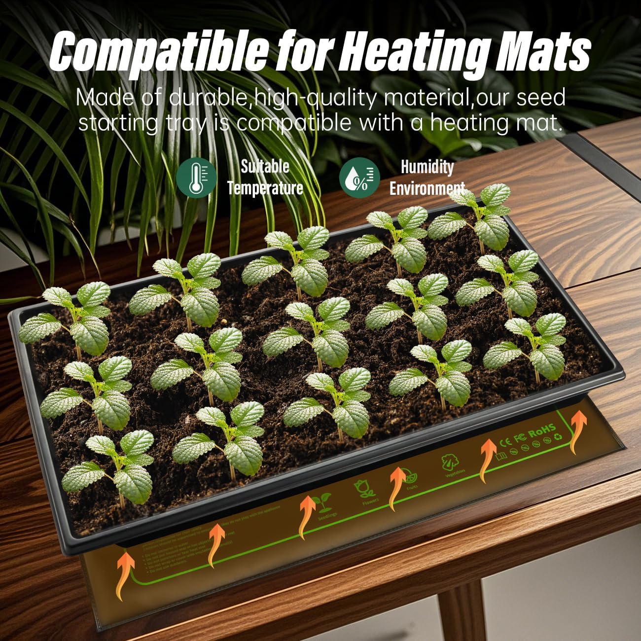Seed Starter Kit - 10 Pack 1020 Seed Trays with 2 Seedling Heat Mats for Plants (10"x20.5"), Complete Seed Germination Kit for Indoor Gardening, Greenhouse Accessories Gardening Gifts