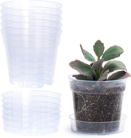 4 Inch Clear Plastic Plant Pot with Drainage Holes, Interlocking & Detachable Tray - Deep Saucer - Durable BPA-Free Plastic, Transparent Design, Raised Base for Airflow, Set of 6, 92-X-A-2