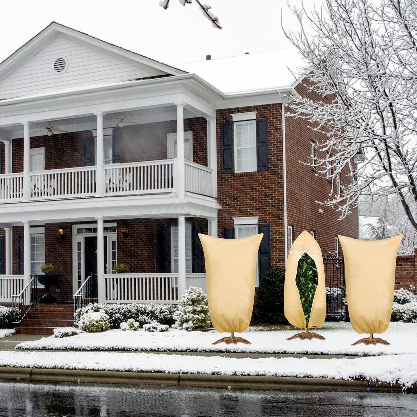 SCRUBIT Plant Covers Freeze Protection, 47.2 X 70.8 in. Frost Cloths for Outdoor Plants Fruit Trees & Shrubs with Zipper and Drawstring, Thick Winter Plant Covers - 2 Pack Tree Frost Blankets