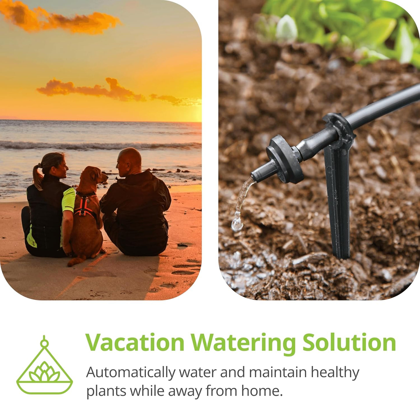 Raindrip R560DP Automatic Drip Irrigation Watering Kit with Customizable Timer for Containers and Hanging Baskets, Waters up to 20 Plants, Includes 20 PC Drippers, Black