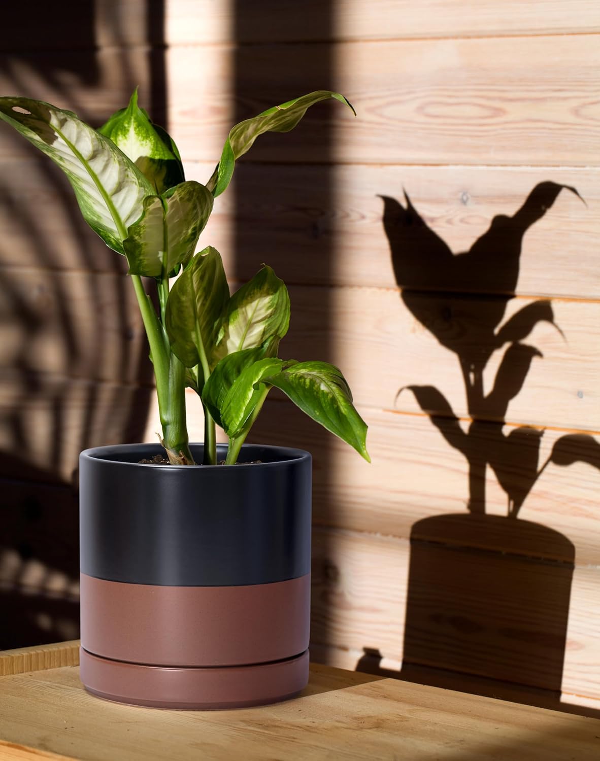 D'vine Dev 6.5 Inch & 8.2 Inch Ceramic Planter Pots for Plants with Drainage Hole and Saucer, Medium Plant Pots Set, Black/Speckled Tan, 94-G-M-7