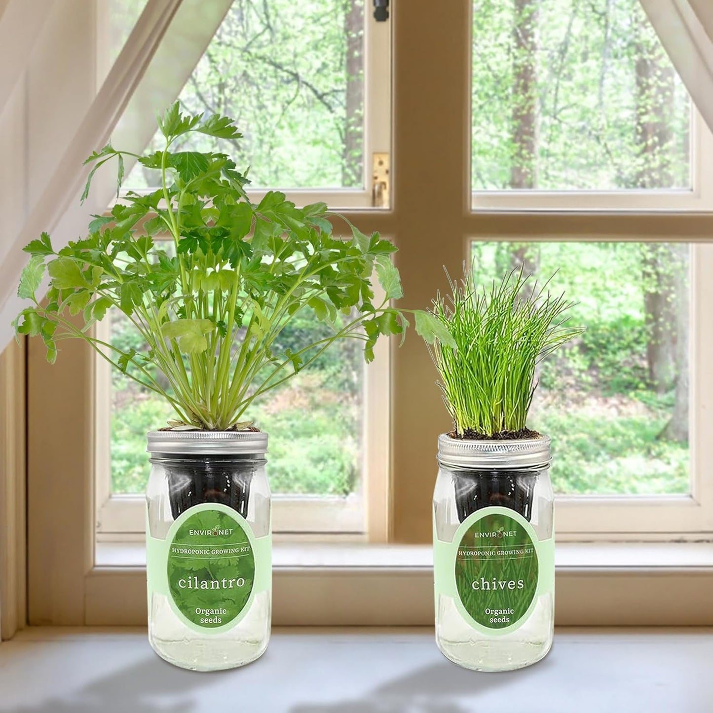 2-Pack Hydroponic Mason Jar Herb Garden Kit, Indoor Herb Garden Self-Watering Starter Kit (Cilantro,Chives)