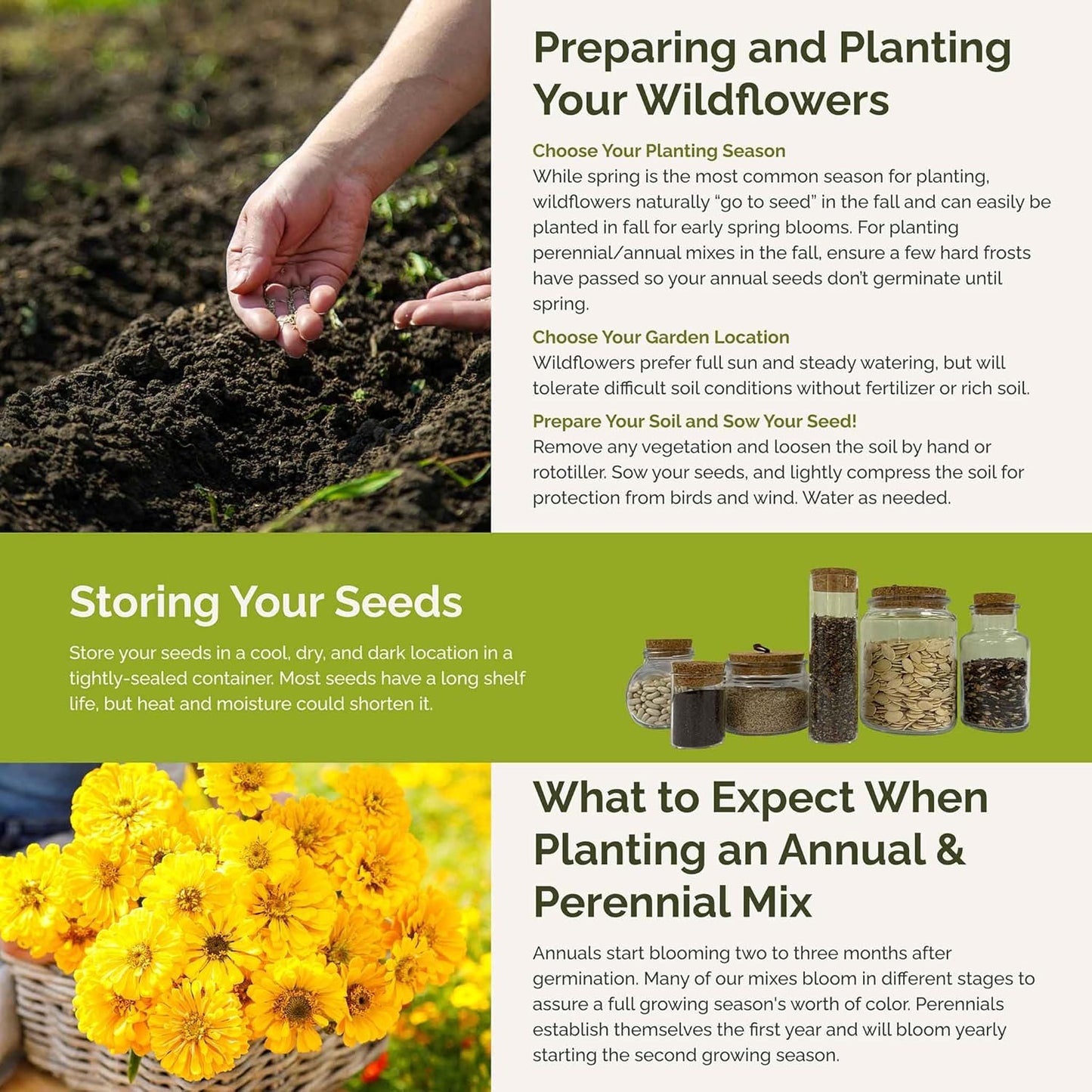 Eden Brothers Fiery Flower Mixed Seeds for Planting, 1/4 lb, 120,000+ Seeds with Zinnia Scarlet Flame, Plains Coreopsis | Attracts Pollinators, Plant in Spring or Fall, Zones 3, 4, 5, 6, 7, 8, 9, 10