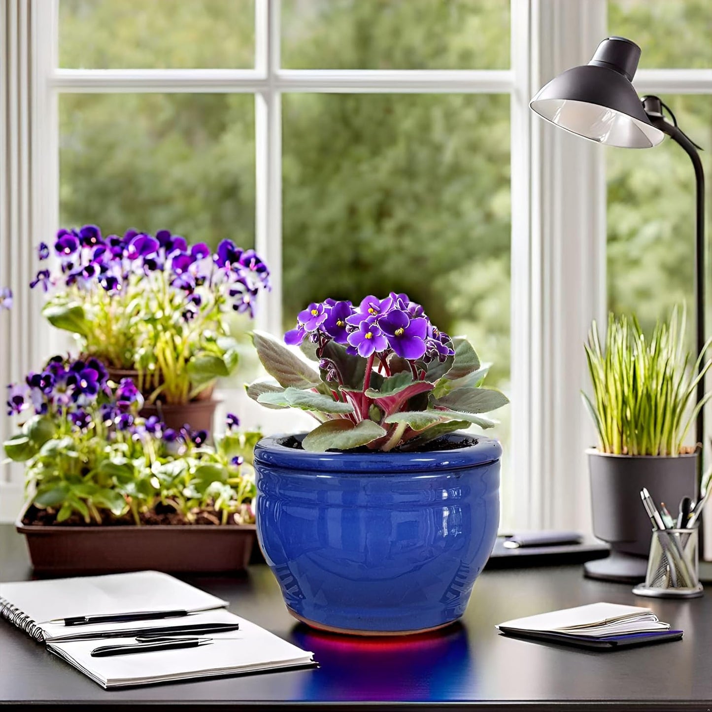 African Violet Pots Self Watering Round Ceramic Violet Pot (Blue, 6 inch)
