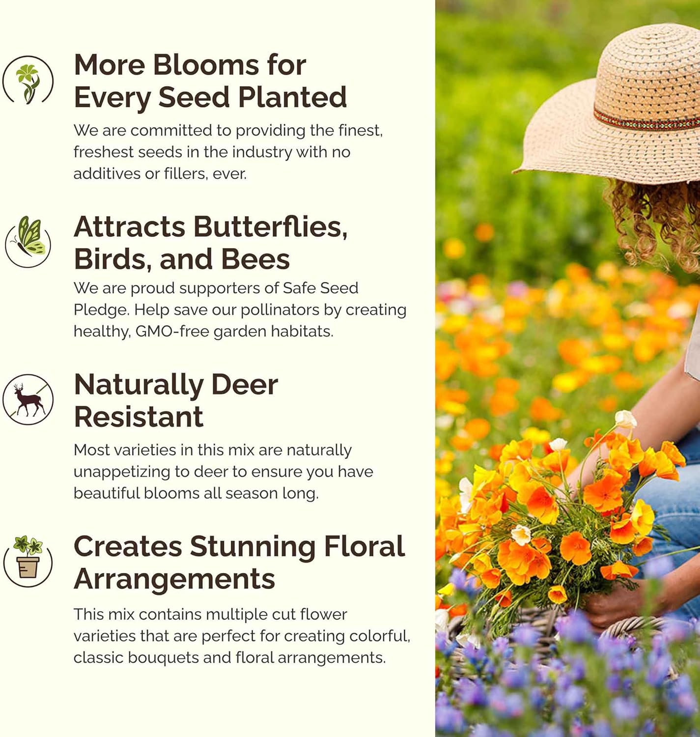 Eden Brothers Dry Area Wildflower Mixed Seeds for Planting, 5 lb, 2,400,000+ Seeds with Cosmos, African Daisy, Blue Flax | Attracts Pollinators, Plant in Spring or Fall, Zones 3, 4, 5, 6, 7, 8, 9, 10