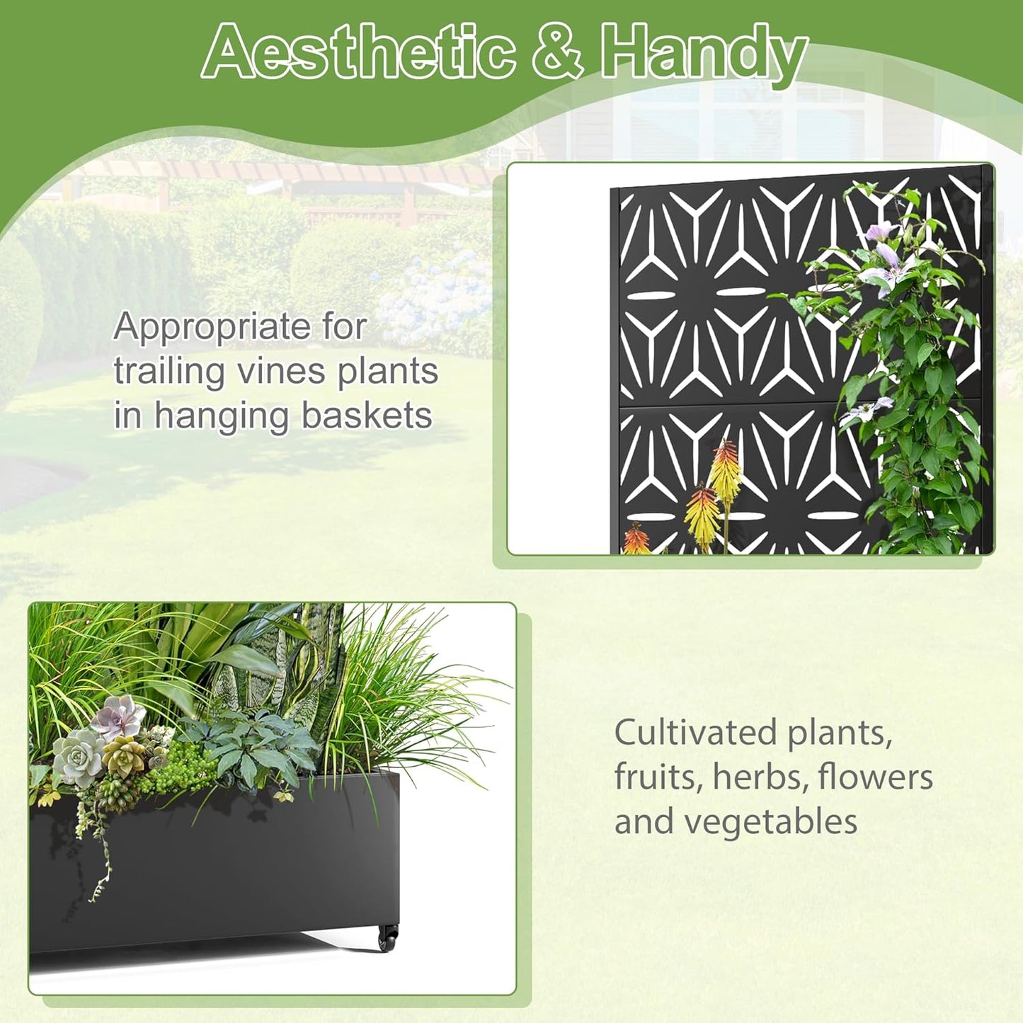 Raised Garden Bed with Trellis and Wheels,73"x35"x16" Metal Raised Garden Bed,Black Star Metal Planter with Climbing Trellis for Vines & Vegetables