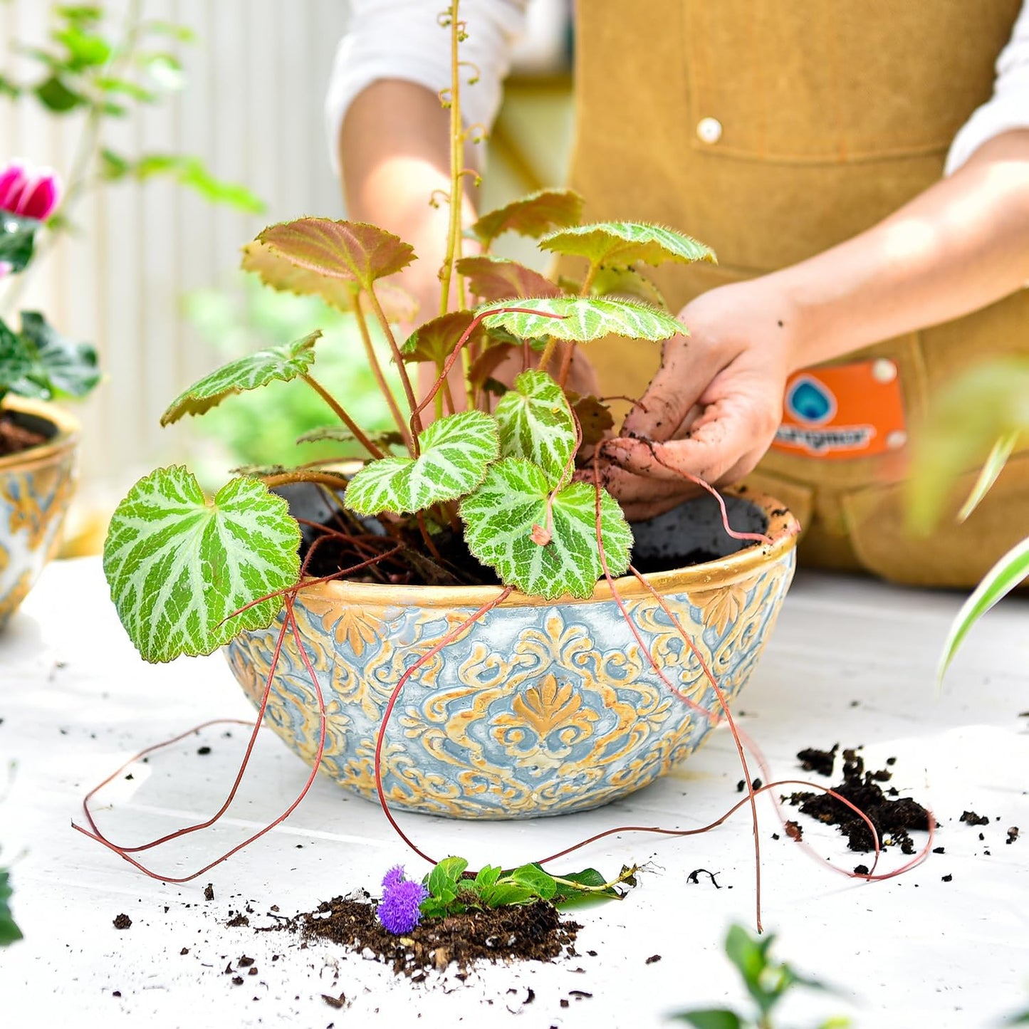 Sungmor Cement Planter Succulent Pots, Set of 3 Concrete Cactus Plant Pot with Drainage Hole, Embossed Design Flower Pot for Home Office Decor, 5.9" & 7.5" & 9.4" Indoor Outdoor Plants Container