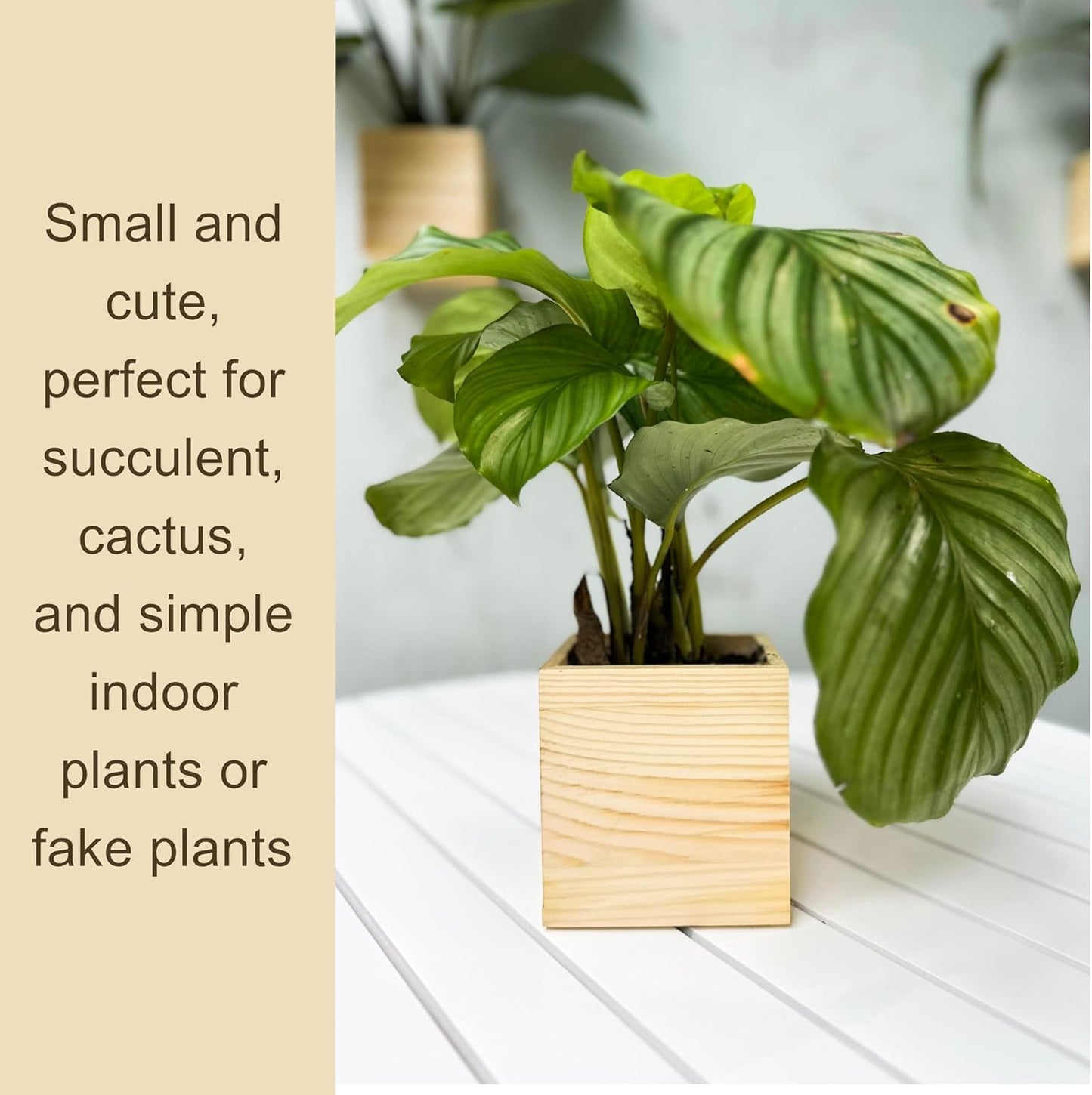 LaLaGreen Wooden Planter Box for Plants (4x4 Inch, 2 Pack) Small Square Wall Planters for Indoor Plant, Natural Wood Hanging Flower Pot Boxes Table Centerpiece Herb Balcony Home Garden Office Decor