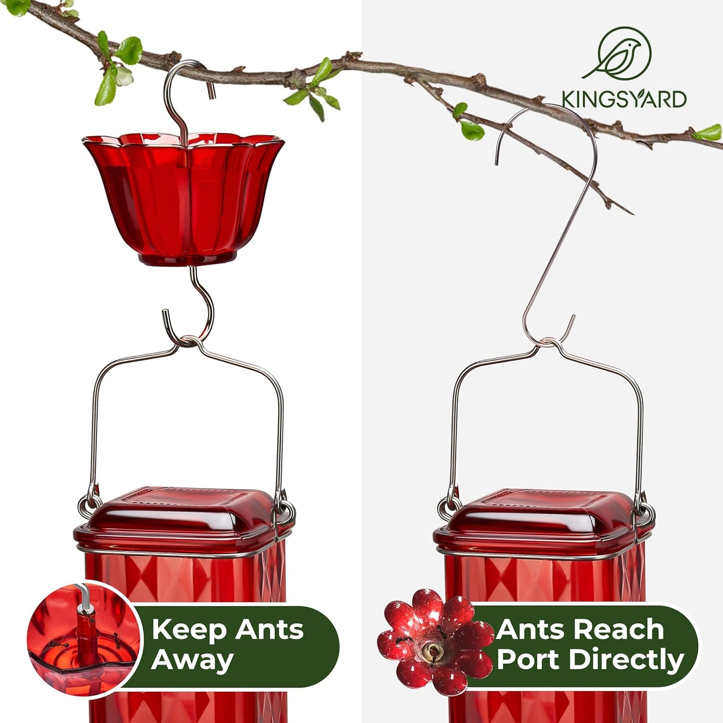 Kingsyard Glass Hummingbird Feeder for Outdoor Hanging, 24 Ounces, 6 Feeding Ports, Bird Nectar Feeder for Garden Décor, Ant Moat Included, Red