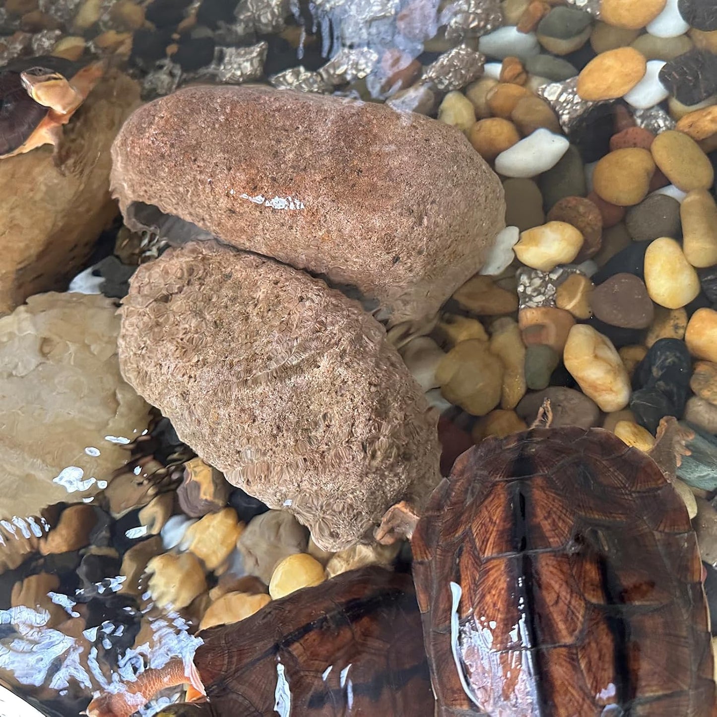 Large River Rocks for Landscaping, 3-4 Inch Mixed Colors Pebbles for Plants and Garden, Premium Rocks for Flower Beds, Indoor Fountains, Paths, Backyards, Fish Tanks(20lbs Bulk)