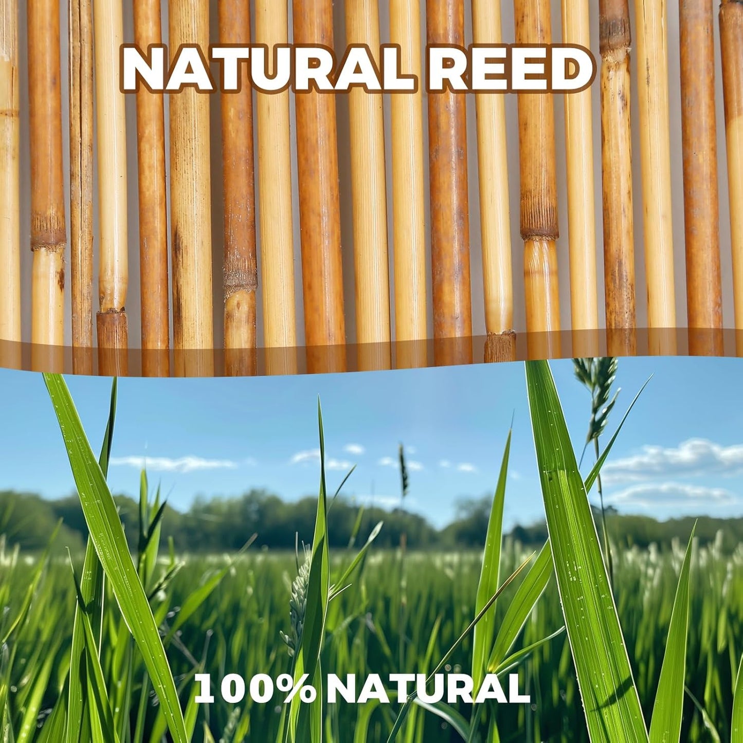 Natural Reed Fencing, Eco-Friendly Reed Fence, 5 feet High x 13.1 feet Long, Reed Screen for Backyard Patio Garden and More,Brown…