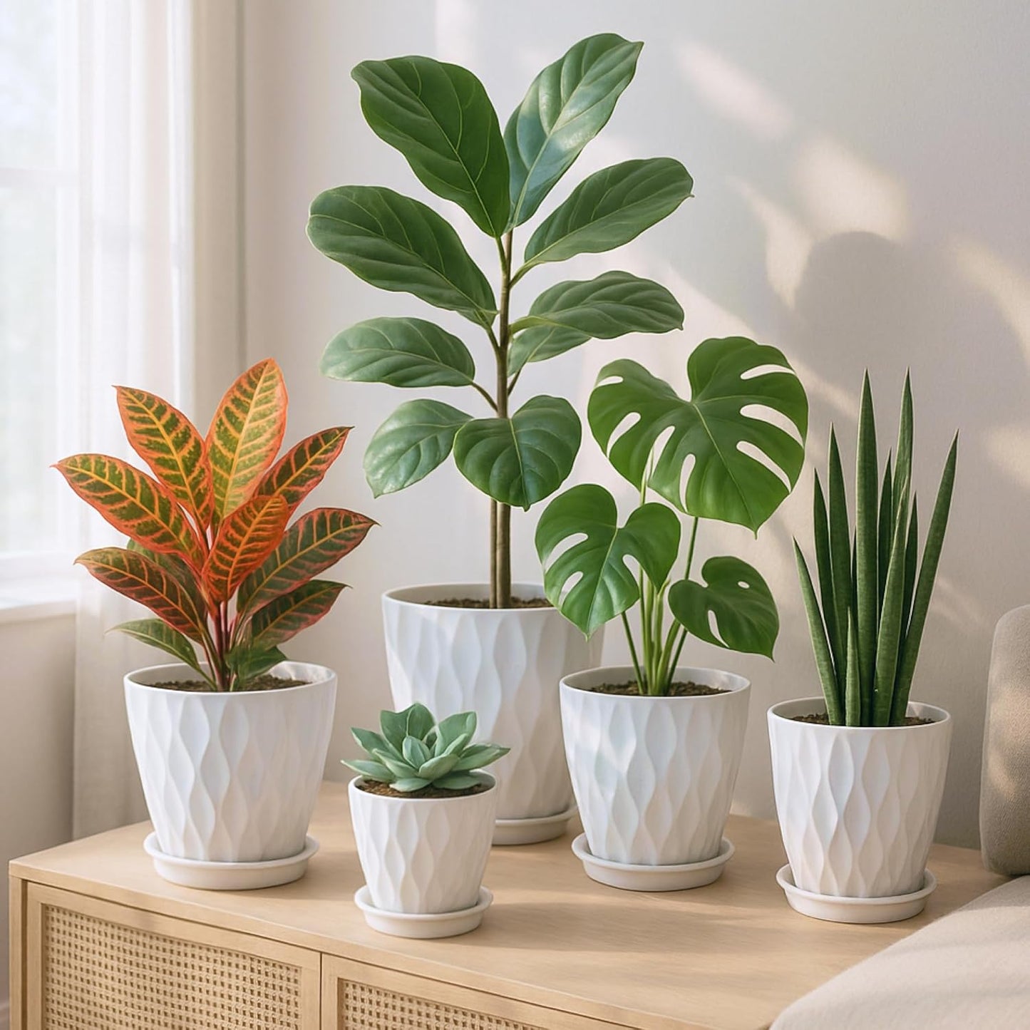 Plastic Plant Pots with Drainage Holes and Saucers, 8/7/6/5/4 Inches Garden Plant Flower Pots for Indoor Planter, 5 Pack Nursery Planting Pot for Indoor & Outdoor House Plants (White, 8/7/6/5/4)