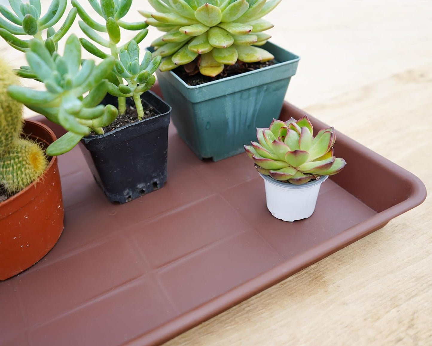 2 Pack Rectangular Plant Saucer, Heavy Sturdy Seed Starting Nursery Trays for Indoors No Holes, Growing Starter Tray (17.5"x10.6", Chocolate)