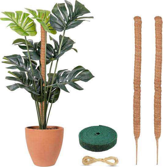 EcoNour Tall Moss Pole for Plants (2-Pack) 48-Inch | Large Monstera Plant Support for Climbing and Growth | Elevate Your Indoor Garden | Tall Plant Support for Indoor Potted Plants to Grow Upwards