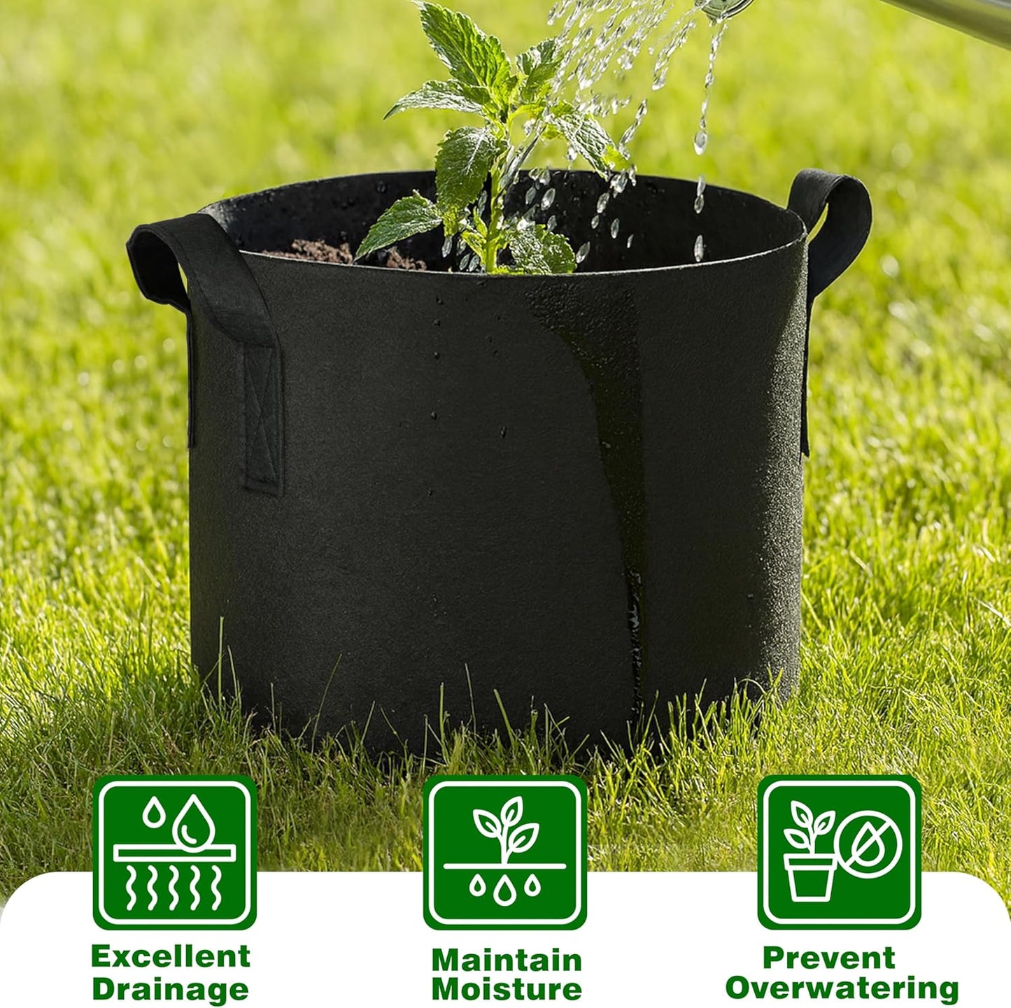 PHYEX 12-Pack 3 Gallon Grow Bags, Heavy Duty Fabric Pots with Handles, Reusable Plant Bags for Vegetable, Herbs & Flowers, BPA-Free, Breathable, Durable