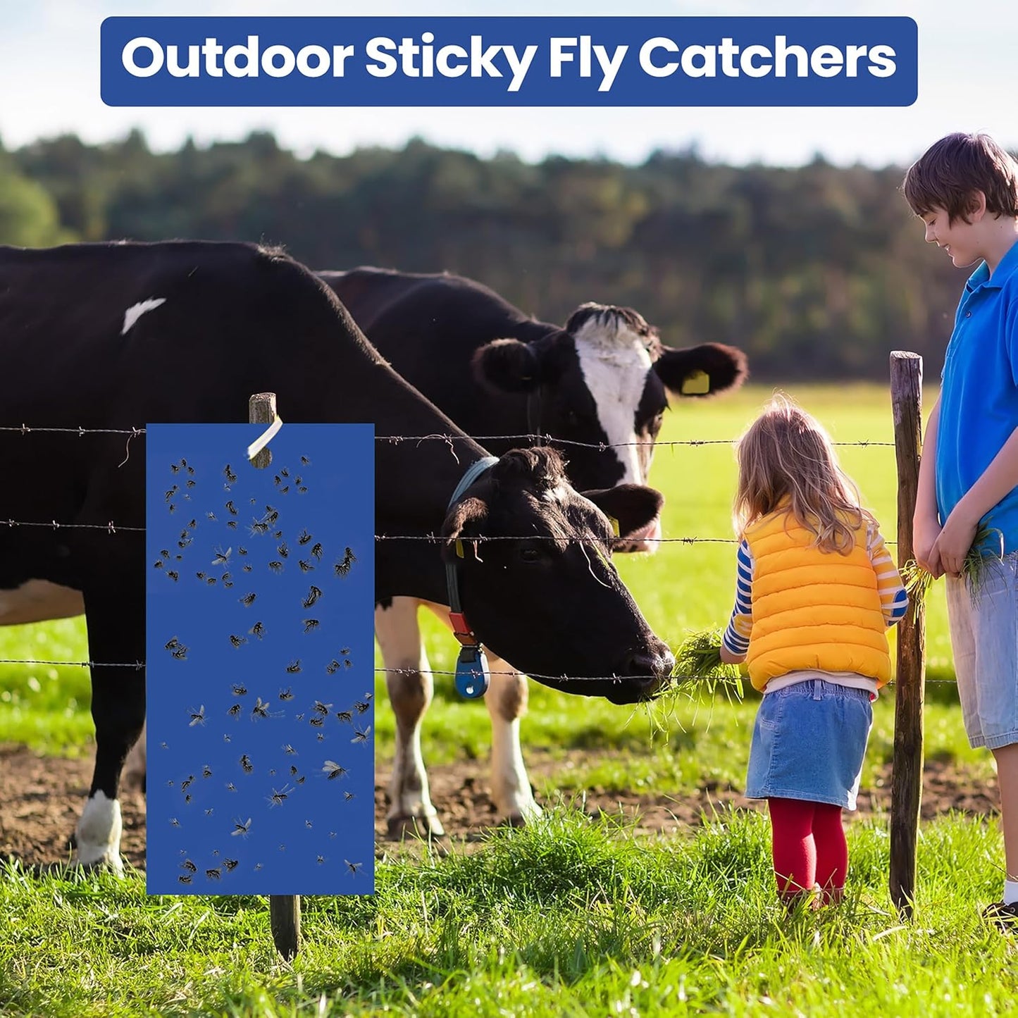 Qualirey 100 Pcs 7.87 x 3.9 Inch Sticky Traps for Plant Double Sided Sticky Trap for Gnats with Twist Ties Fly Traps for Fruit Insect Fungus Bugs Indoor Outdoor(Blue)