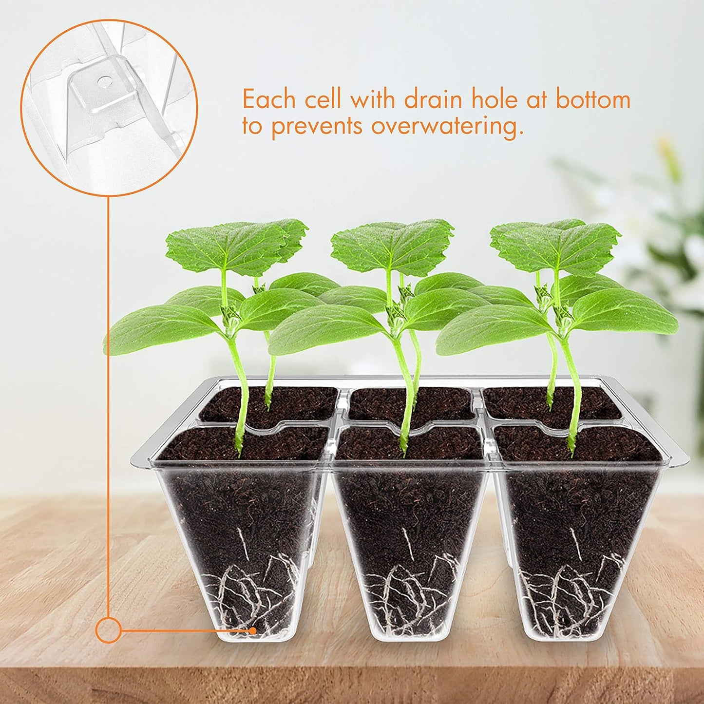 Gardzen 10 Pack Seed Starting Tray, Plant Germination Trays, Seed Starter Kit with Adjustable Humidity Vented Dome, Plant Growing Kit 6.6" x 4.5", Total 120-Cell, Clear