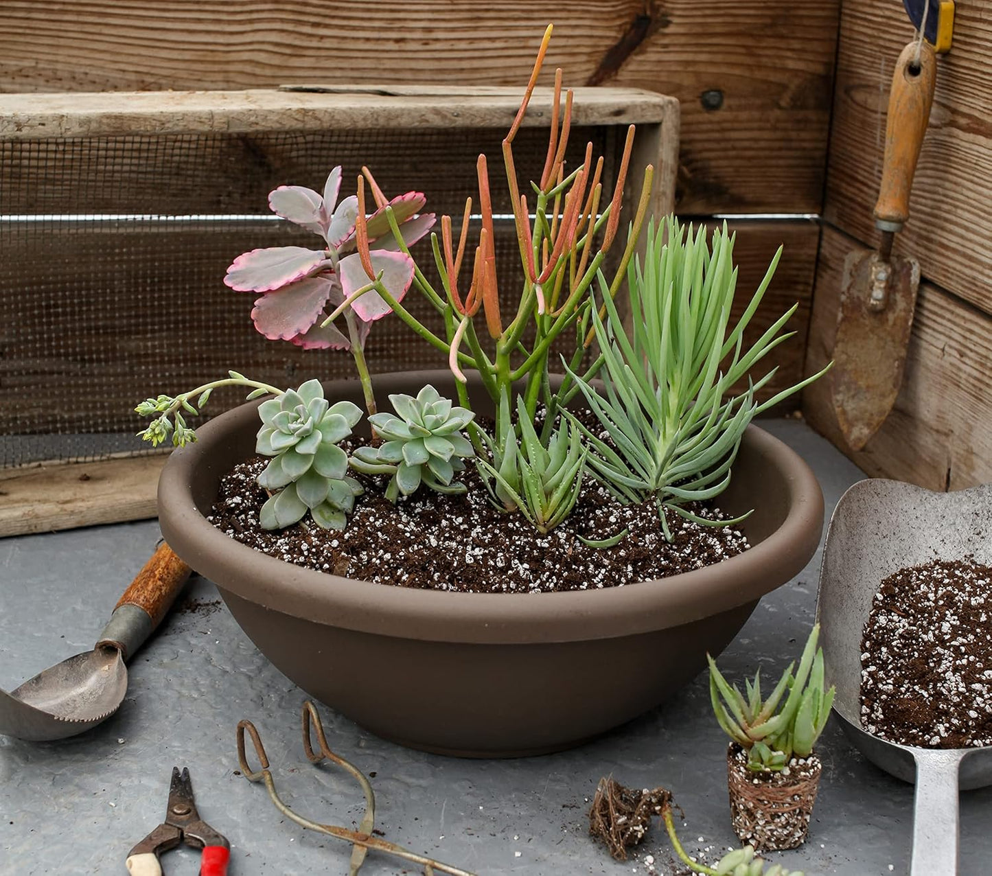 The HC Companies 20 Inch Large Garden Bowl Planter - Shallow Plant Pot with Drainage Plug for Indoor Outdoor Flowers, Herbs, Chocolate