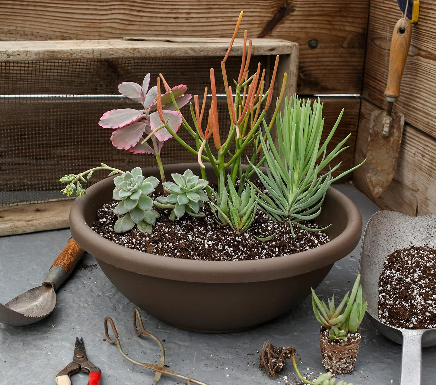 The HC Companies Shallow Planter with Drainage - Contemporary Garden Bowl Planter for Flowers, Herbs & More - Round Succulent Planter Pot for Indoors and Outdoors (24" Chocolate, Pack of 1)