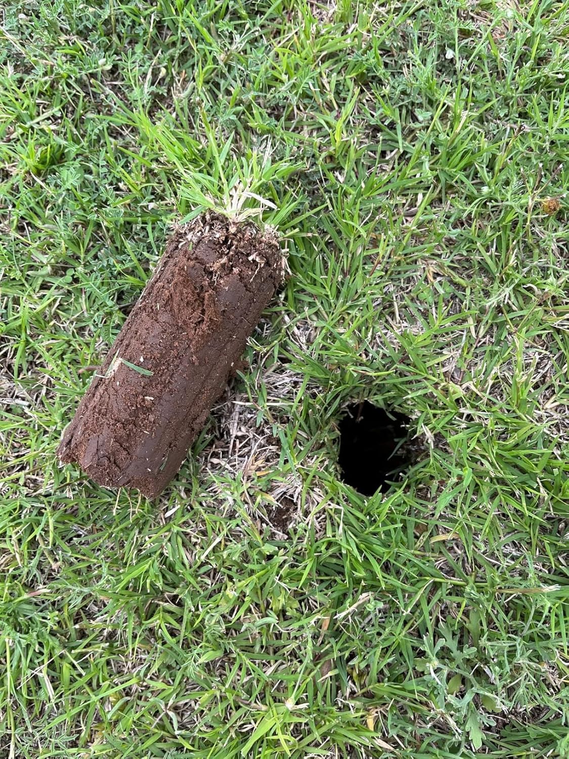 Edward Tools 5 in 1 Long Handle Garden Tool - Sturdy Steel Pro Grade Bulb Planter, Long Handle Weeder, Sod Plugger, Soil Probe, Transplanter - Step, Twist, Pull - Multi Depth Options