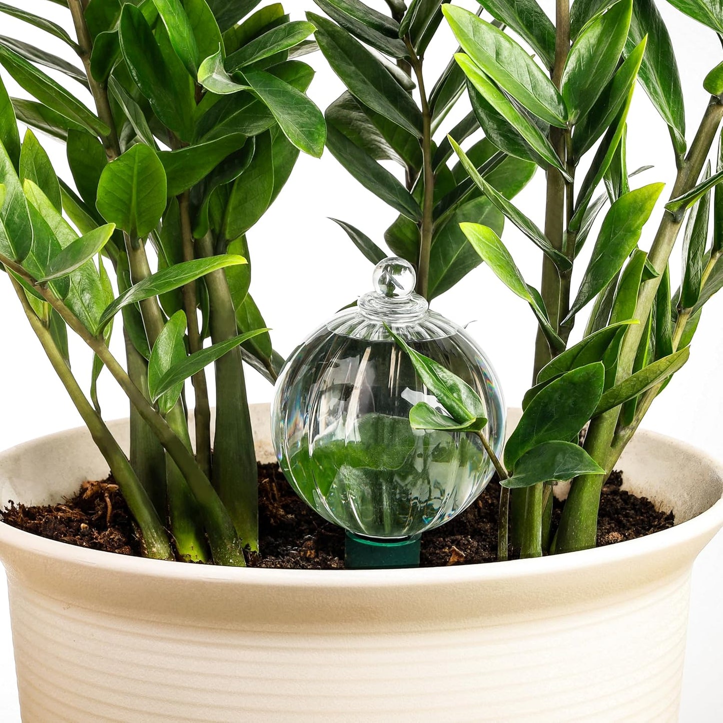 23 oz Extra Large Plant Watering Globes Top Fill, Clear Glass Water Bulbs with Terracotta Spikes Stake, Vacation Slow Release Self Watering Planter Insert, Automatic Drip Device, 1 Pack