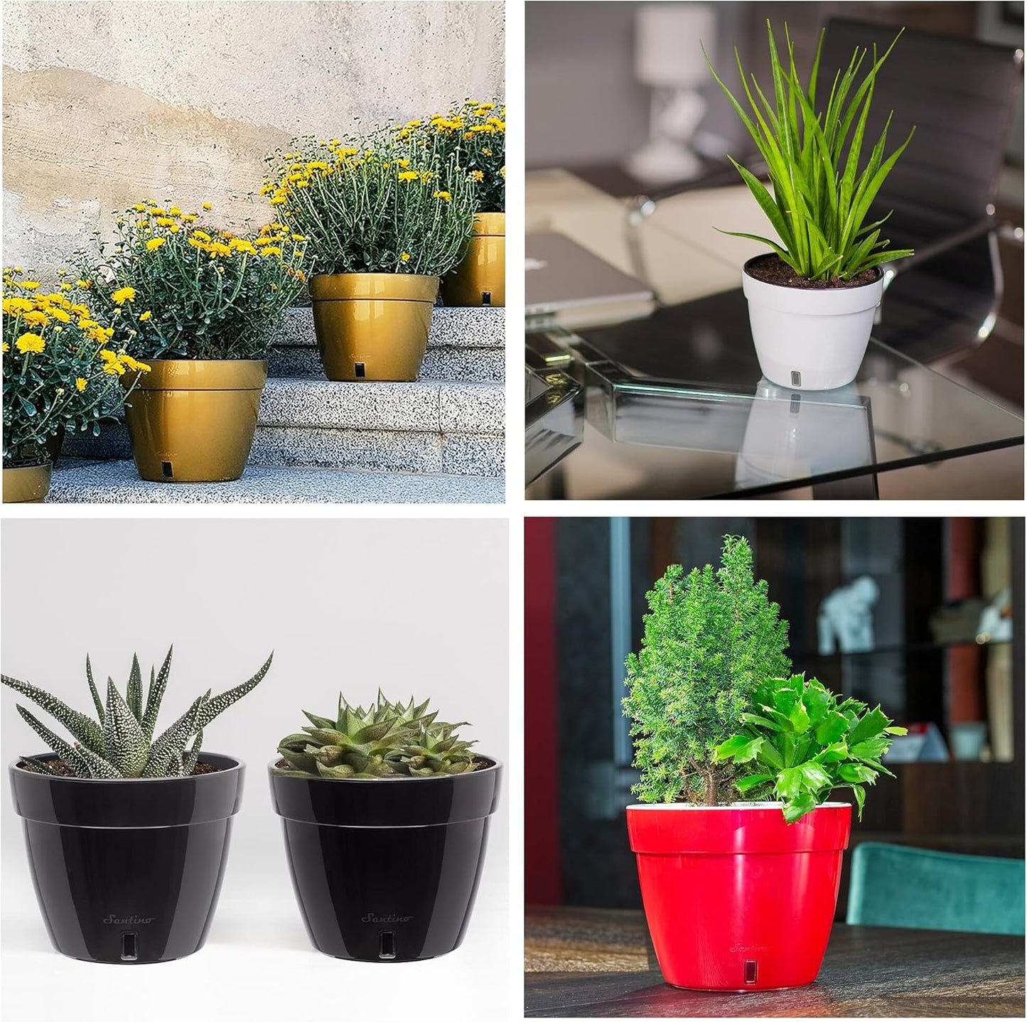 Santino ASTI 10.6 Inch Self Watering Planter RED-Pearl/White for Indoor Plants - Premium Quality Modern Plastic Pot w/Water Level Indicator for All House Herbs, Plants, African Violets and Dahlias