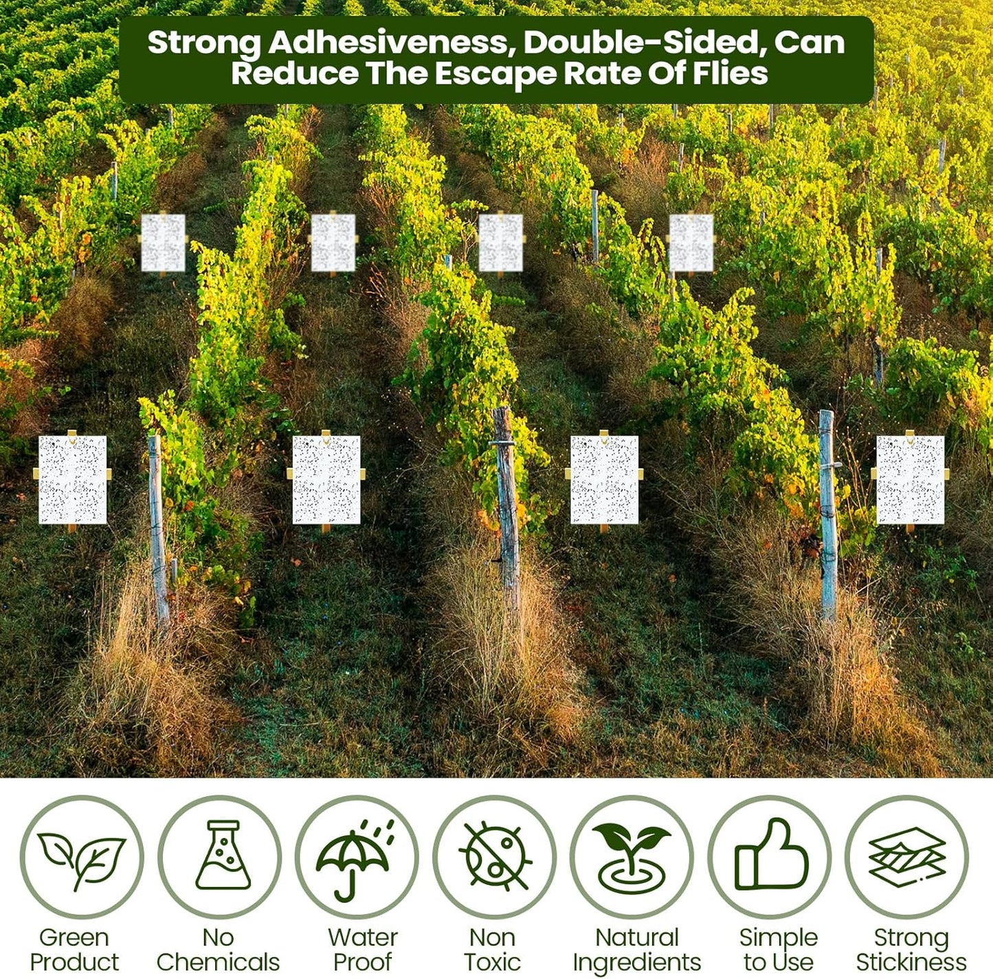 Qualirey 100 Pcs 6 x 8 Inch Sticky Traps for Plant Double Sided Sticky Trap for Gnats with Twist Ties Fly Traps for Fruit Insect Fungus Bugs Indoor Outdoor (White)