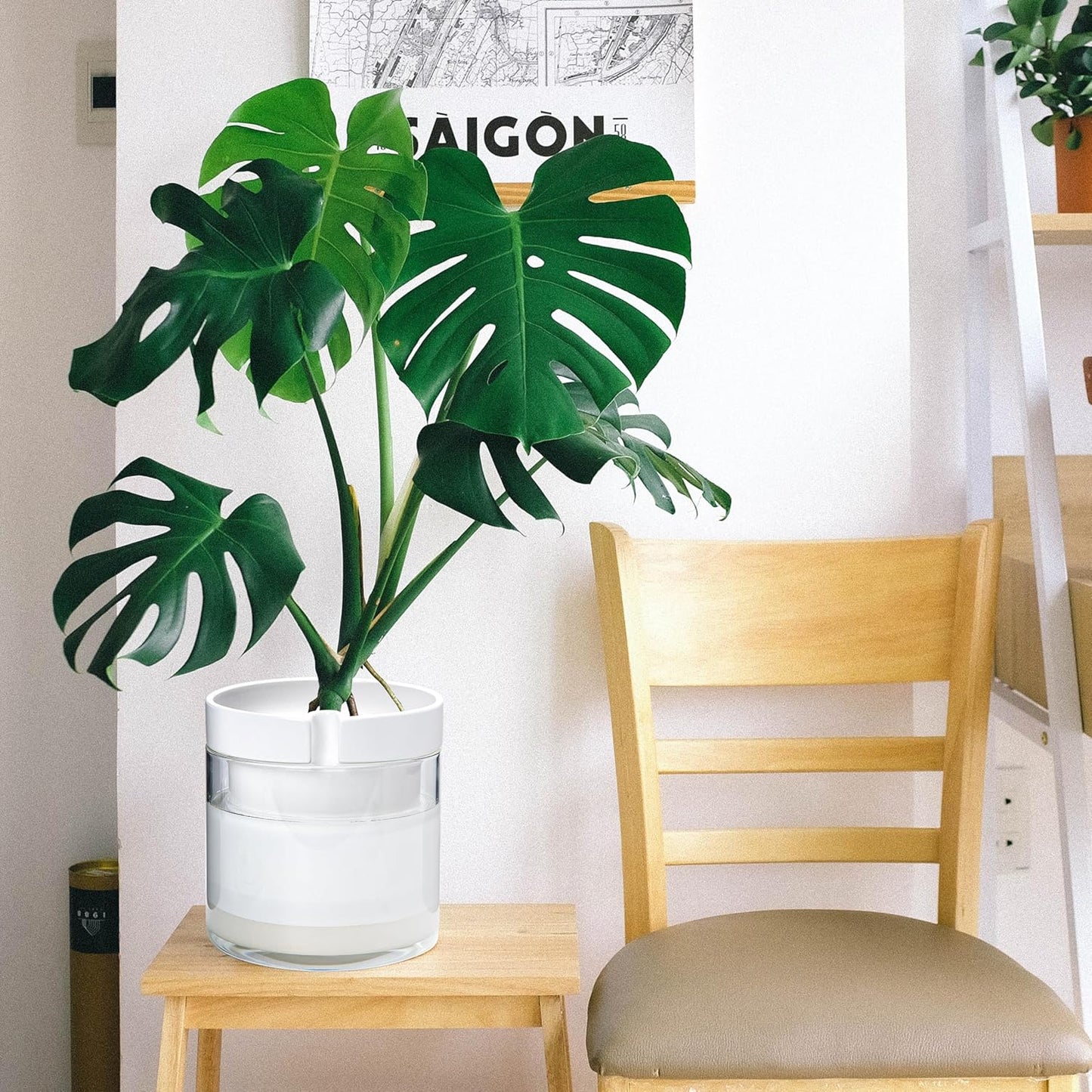 Phoenix Vine 8 Inch Self Watering Planter, White Terracotta Clay Pot with Glass Reservoir for Indoor Plants, Herbs, Flowers, Set of 1, 52-B-H-1