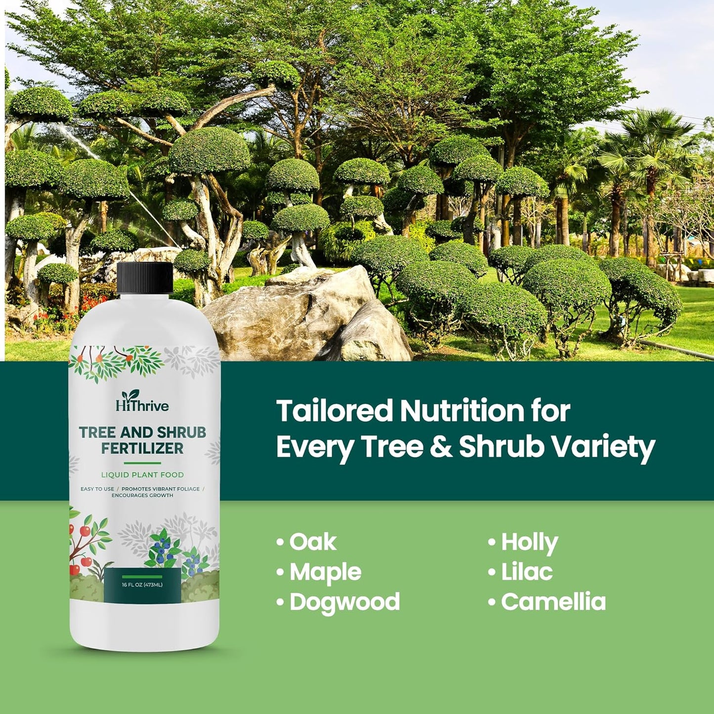 16oz Tree and Shrub Plant Food - Makes 16 Gallons of Tree and Shrub Fertilizer, Liquid Plant Fertilizer for Healthy Roots, Foliage & Year-Round Growth, Nutrient-Rich Formula for All Trees & Shrubs