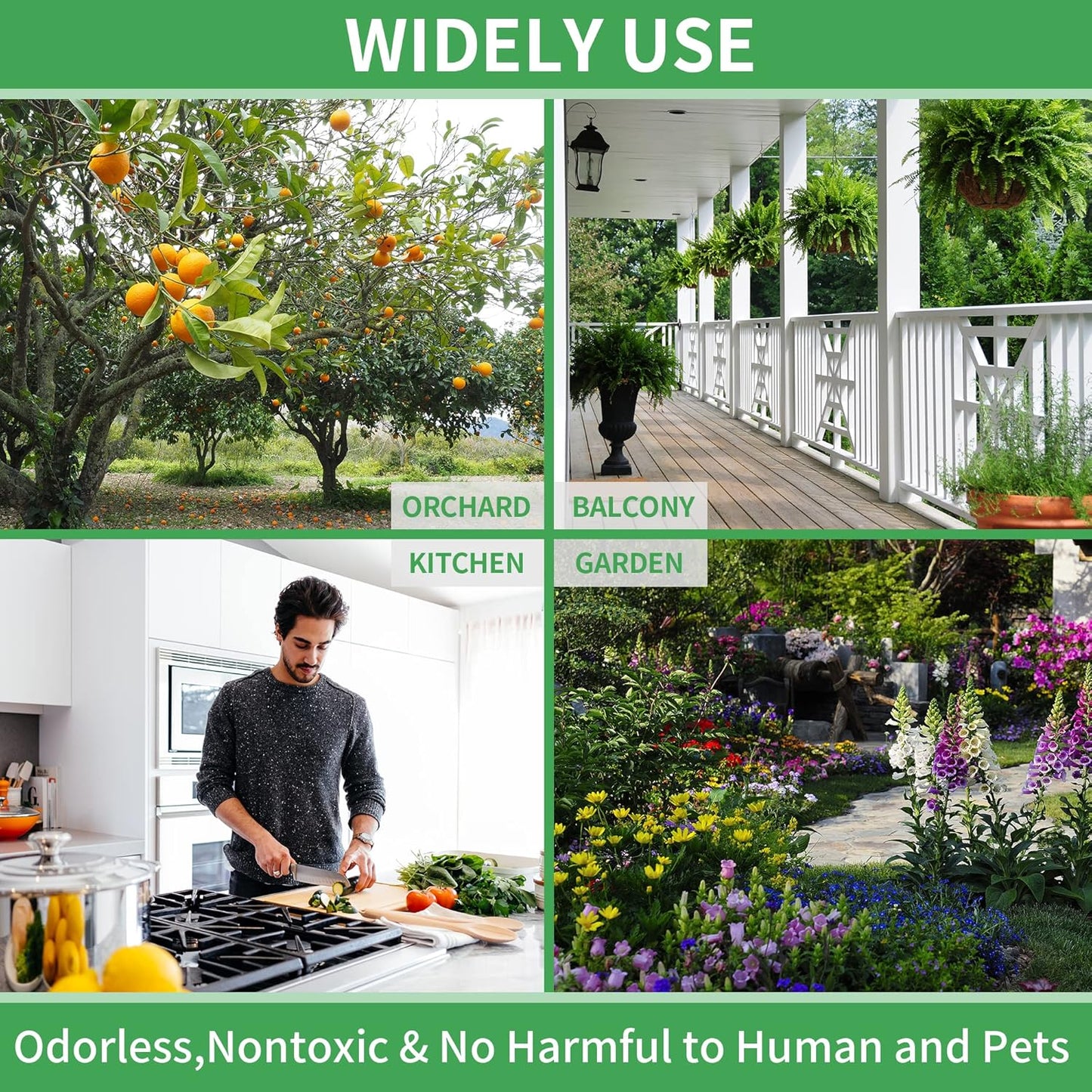 LULUCATCH Fruit Fly Sticky Trap 48 Pack, Safe Gnat Traps for Fruits, Plants, Super Sticky Fly Trap for Indoor, Outdoor, Kitchen, Insect Catcher for White Flies, Mosquitos, Fungus Gnats, Flying Insects