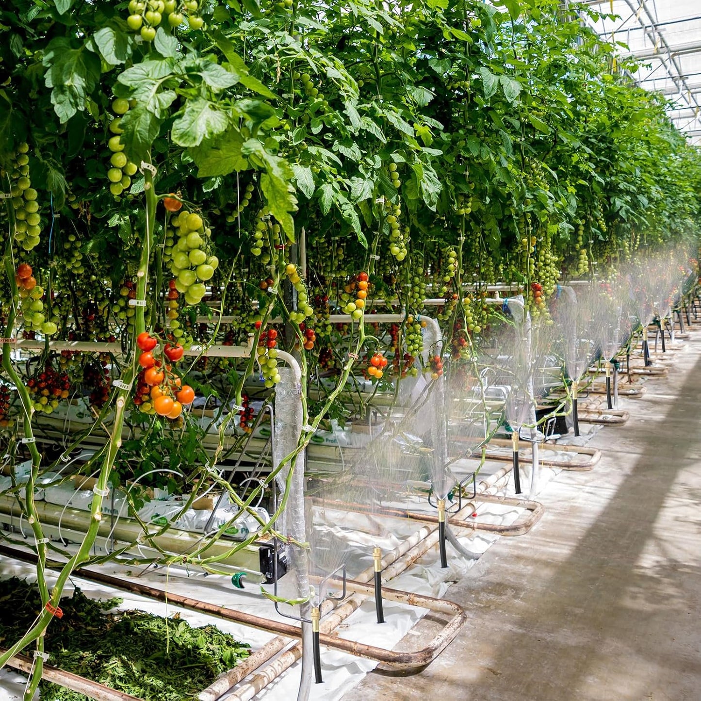 Zonon Brass Misting Nozzles Tee with Built in Hose 360 Degree Rotation Adjustable Water Mister Nozzles Thread Sprayer 0.043" Misting Parts and Accessories for Patio Outdoor Cooling(15 Pcs,4 Inch)