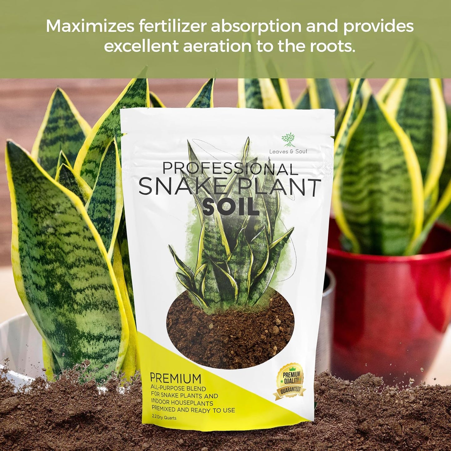Professional Snake Plant Soil | Large 2.2 Quarts Ready to Use for Snake Plants | Peat Moss, Coco Coir, Perlite, Dolomite | Made in USA