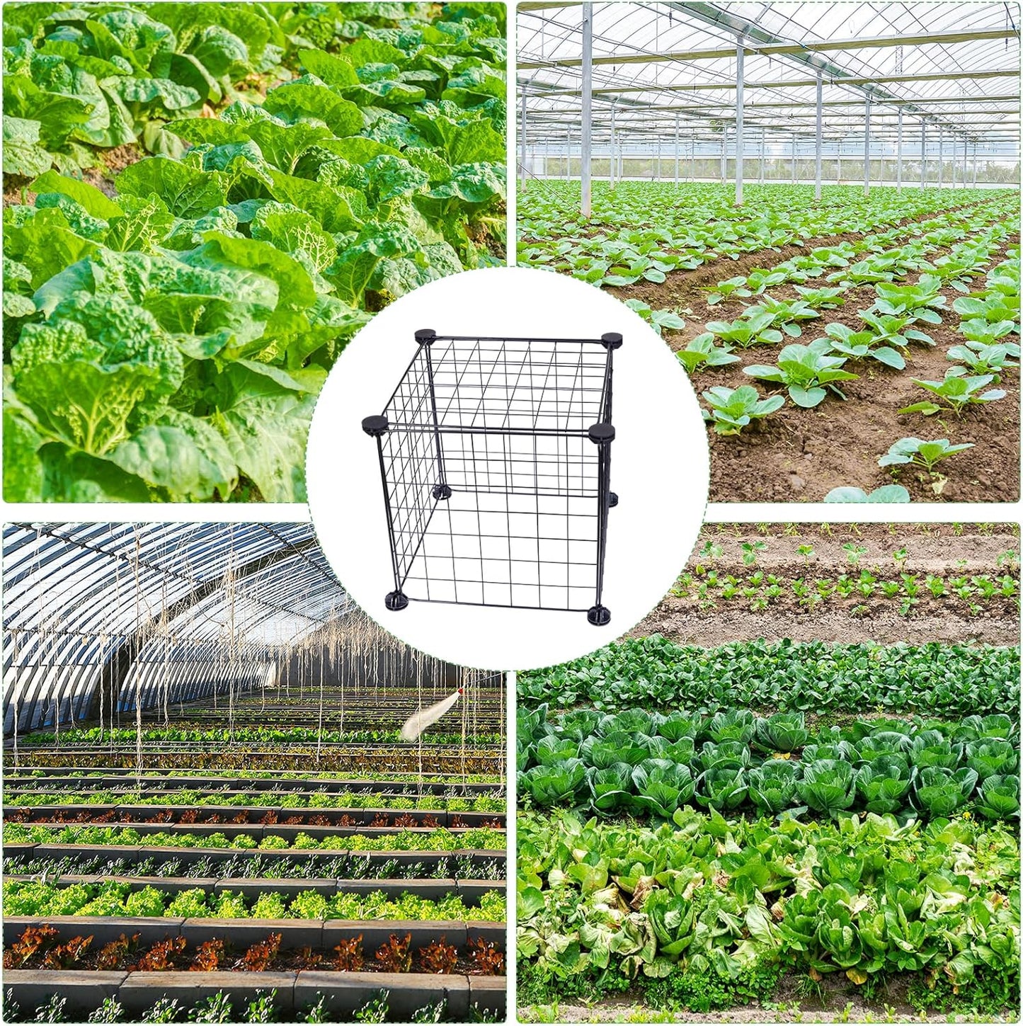 8 Set Wire Plant Covers Plant Protectors from Animals,80 Pcs 12"X12" Chicken Garden Cloches for Plants Metal Meshes for Protect Plants Vegetables