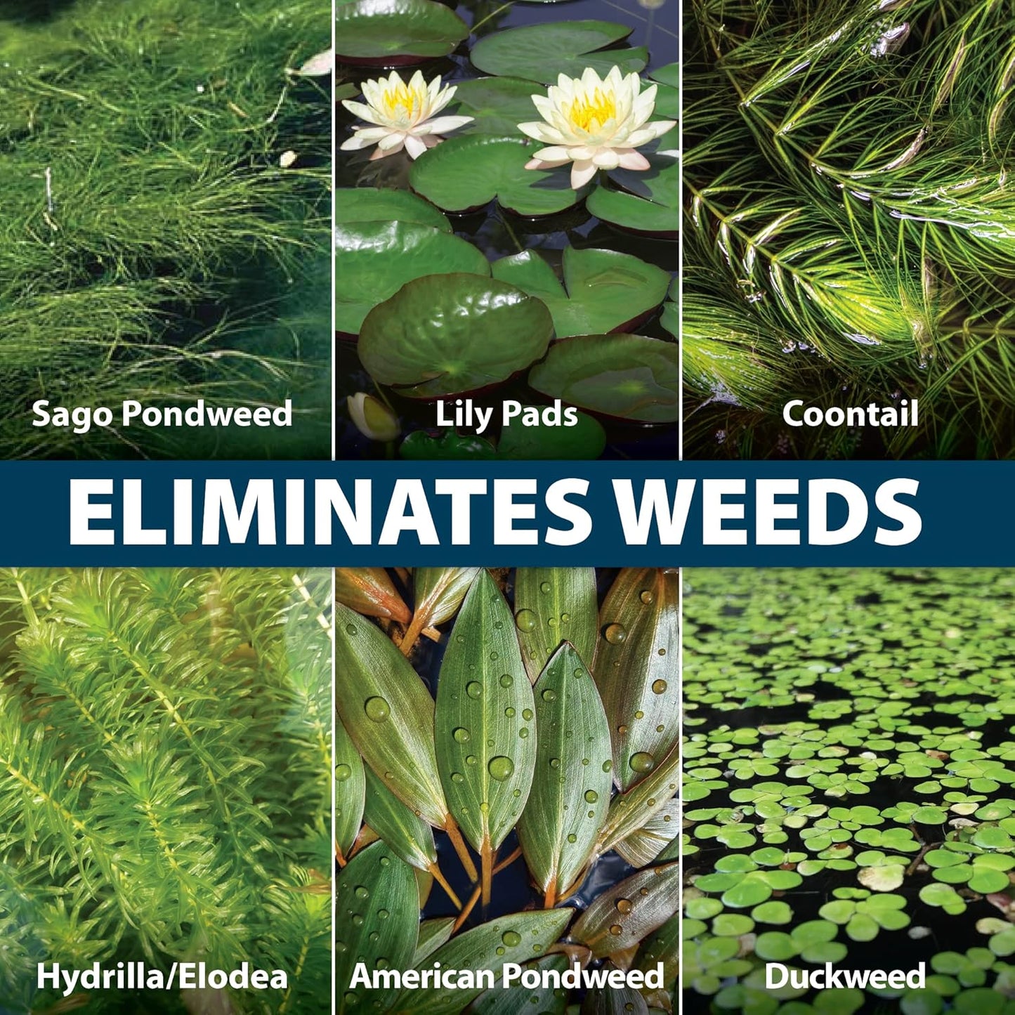 Airmax Wipeout Pond Weed Defense, Herbicide & Aquatic Weed Control, Controls Duckweed & Other Unwanted Submerged & Floating Vegetation, Easy-to-Use & Long Lasting, All-Season Treatment - 8 Ounce