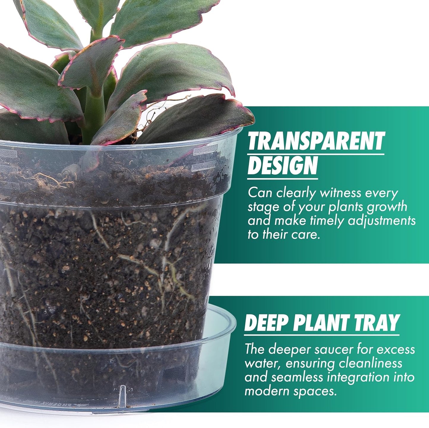 4 Inch Clear Plastic Plant Pot with Drainage Holes, Interlocking & Detachable Tray - Deep Saucer - Durable BPA-Free Plastic, Transparent Design, Raised Base for Airflow, Set of 12, 92-X-B-2