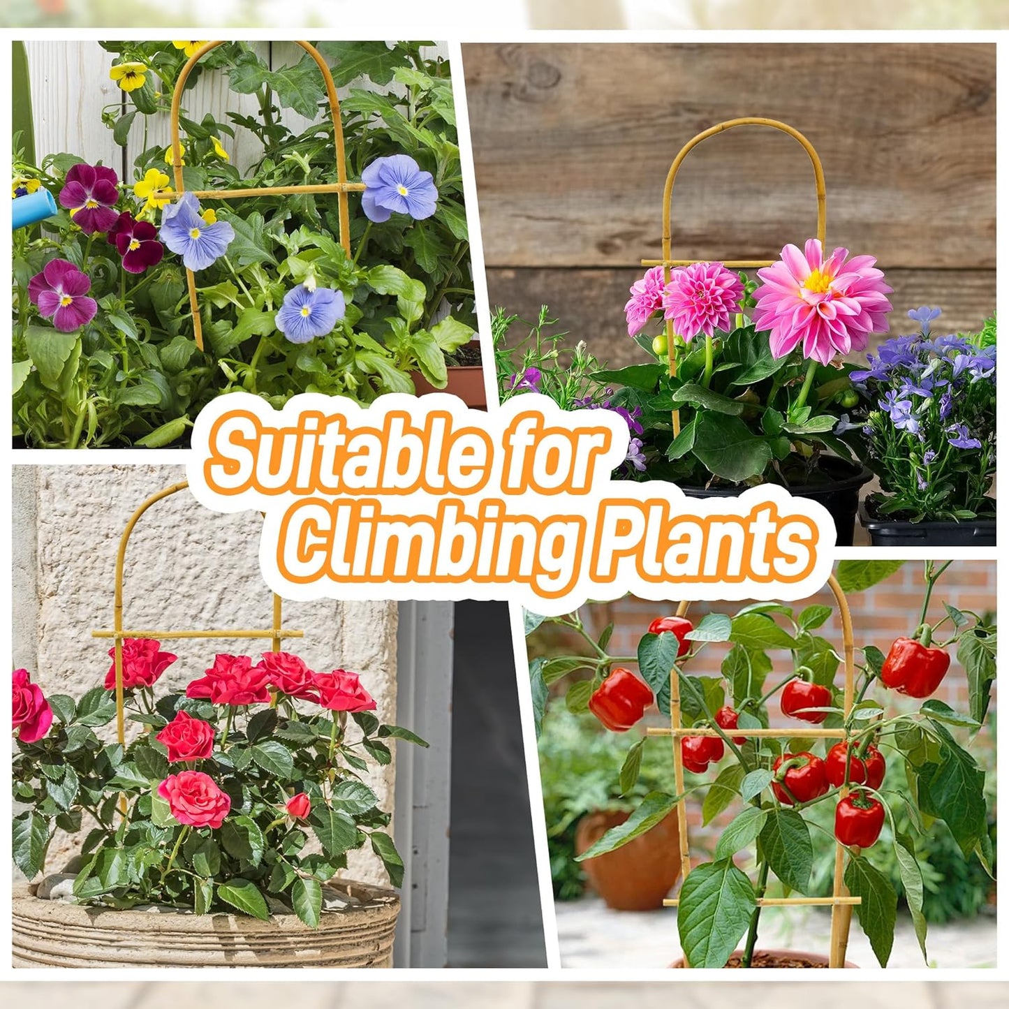 Avalution 10 Pack Bamboo U Trellis for Climbing Plants, 16 Inch Garden Ladder Trellis for Potted Plants Indoor, Ladder Small Plant Support Trellis for Houseplants Ivy Hoya Vine Monstera