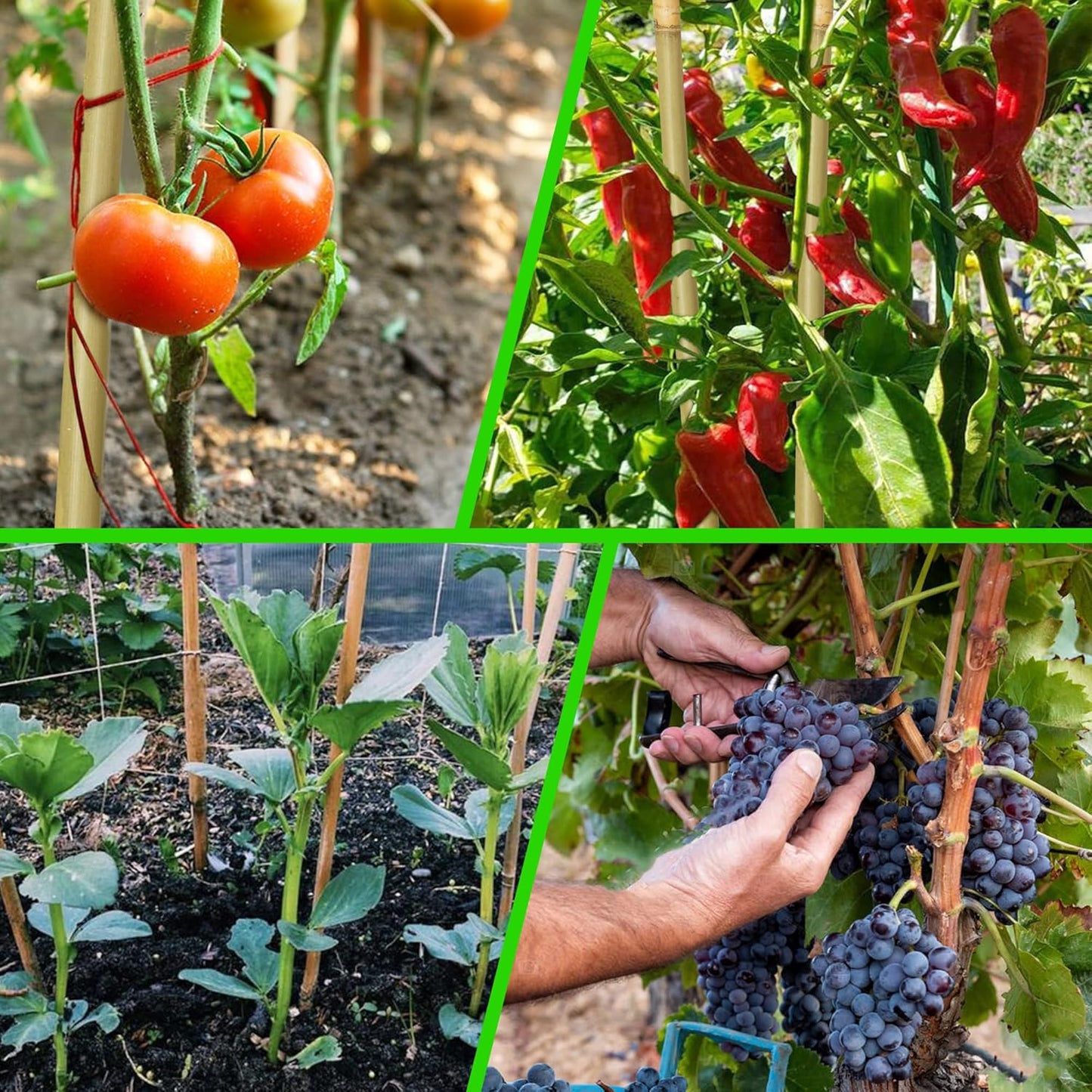 150 Pcs 18 inches Bamboo Stakes, Natural Bamboo Sticks Plant Support Stake for Indoor and Outdoor Climbing Plants