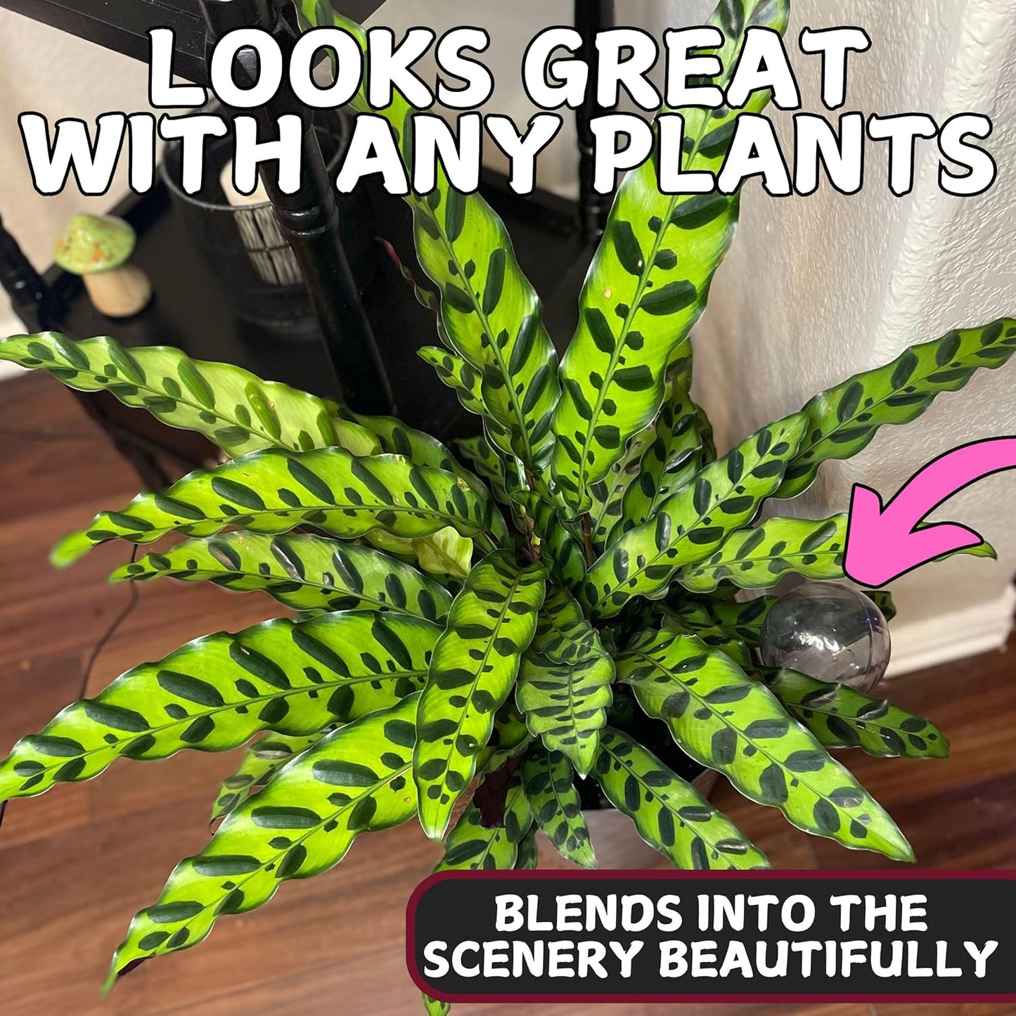 Water Globes for Watering Plants Automatically - Shatterproof & Weatherproof Self-Watering Stakes - Water Bulbs for Indoor & Outdoor Plants - Keeps Soil Moist & Plants Happy