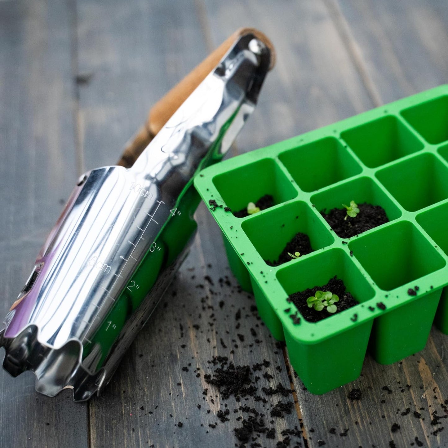 Cotswold Homeware Silicone Seed Starter Tray | 2 X 12 Cell Reusable Seed Starting Tray | for Vegetable, Flower & Herb Seeds | Indoor Grow Kit to Plant Seedlings | Stainless Steel Bulb Planter