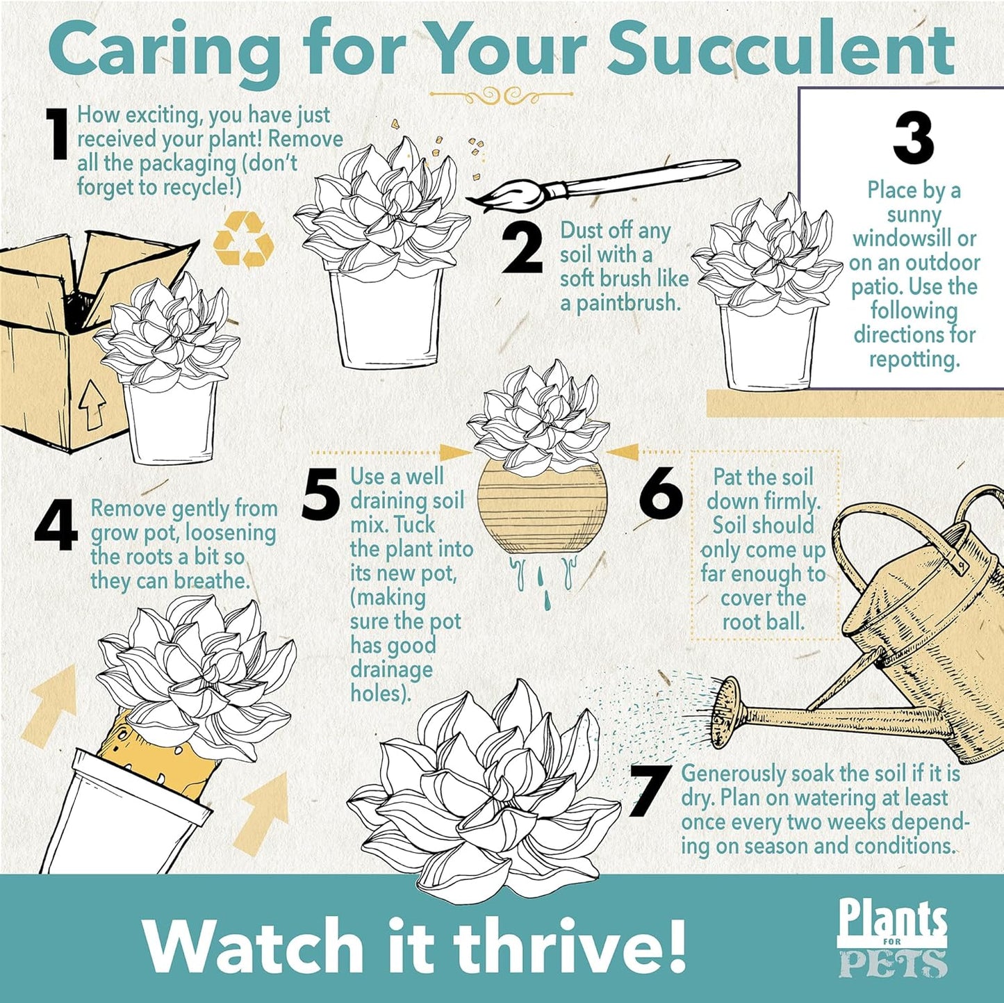 Sedum Tile, Live Sedum Succulent Planter, Stonecrop Plant Sedum Mat, Preplanted Succulent Sedum Carpet, Live Flowering Plants Sedum Planter, Sedum Plant Succulents Live Plant Wall by Plants for Pets