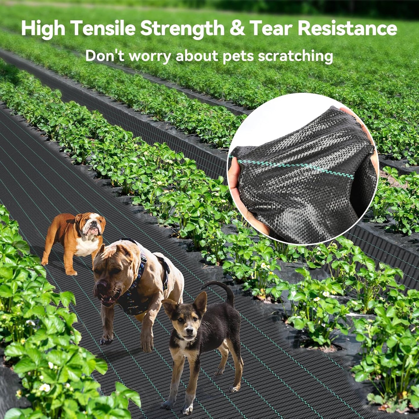 3ftx300ft Weed Barrier Landscape 3.2oz Fabric Heavy Duty, Woven Weed Control Cloth, Woven Geotextile Fabric for Underlayment, Gardening Ground, Commercial Driveway Weed Block Cover Mat