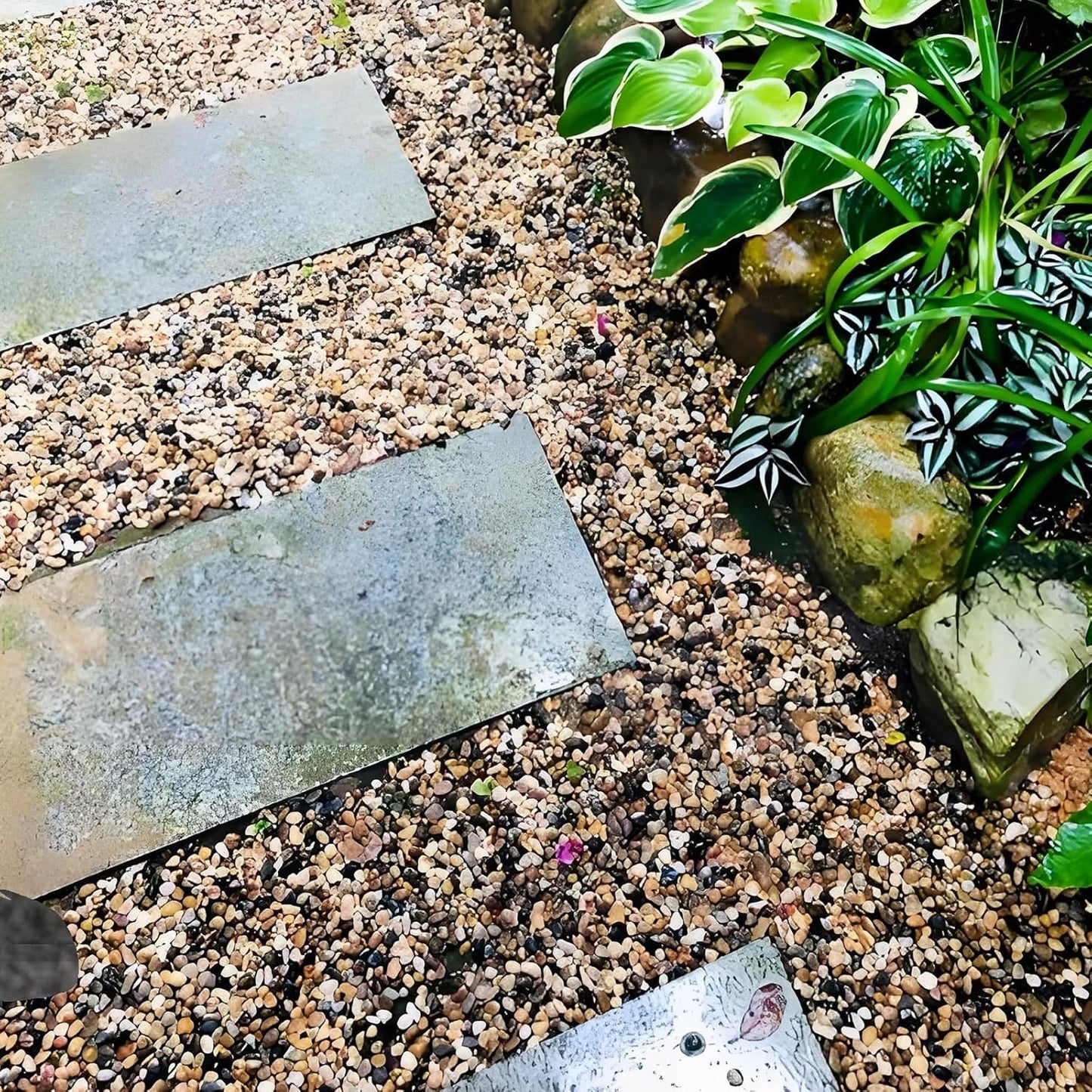 2 Pounds Pebbles for Plants, 3/8 Inch Polished Pea Gravel. Decorative Stones River Rocks for Succulent Soil Cover, Cactus, Aquarium, Vase and Outdoor Garden Landscaping