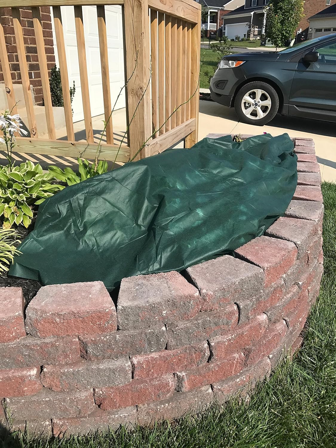 Frost Armor Blanket 10.5' Foot X 12' Foot (Frost Protection for Plants)