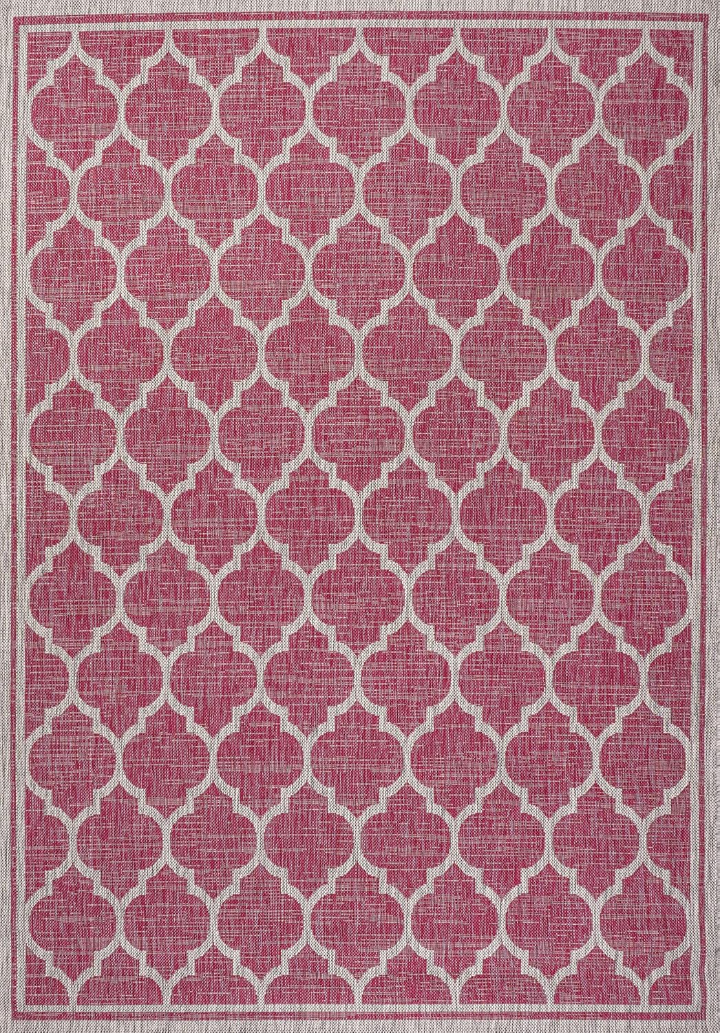 Eyely BMS109H-4 Santa Monica Trebol Moroccan Trellis Textured Weave Indoor/Outdoor Area Rug Coastal;Bohemian, Bedroom, Backyard, Patio, Easy-Cleaning, Non-Shedding, 4 X 6, Fuchsia/Light Gray